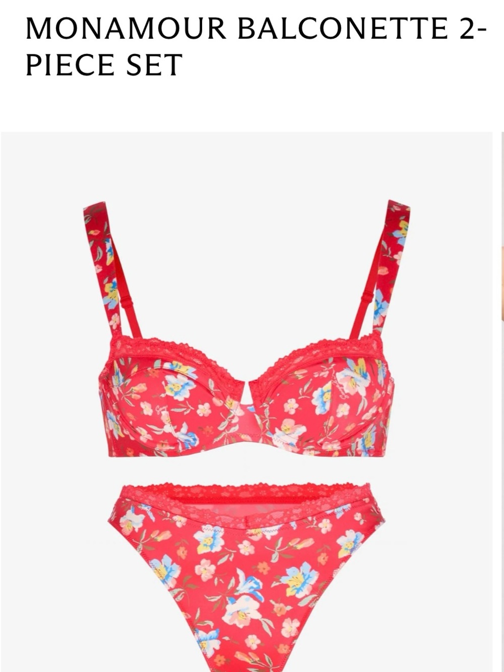 Floral Lace Trim Underwire Bra & Bikini Set - Red